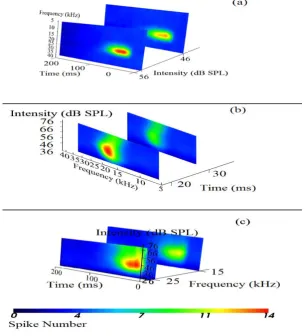 Figure 1. 2D Slicing: (a) The conventional STRF with level precision. Slices showed at only 56 and 46 dB SPL for simplicity (b) Classical intensity tuning with temporal precision (slices at 20 and 30 ms.) (c) Responses across intensity time domain with spe