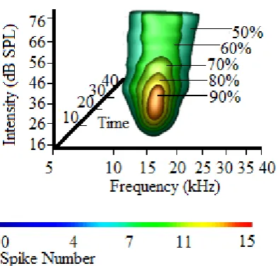 Figure 3. Surface rendering showing surfaces created at 50,60,70,80 and 90% contour levels from the maximum