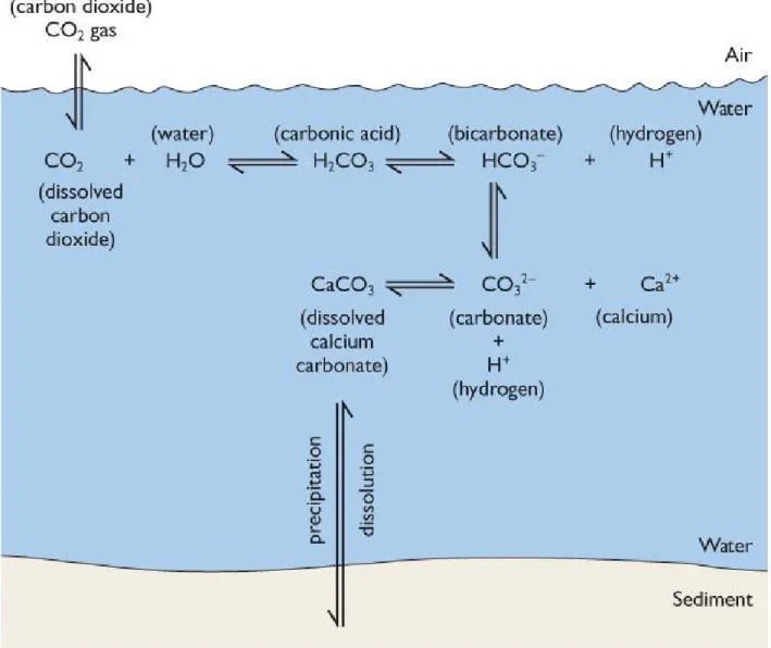 Figure 5-19c The CO 2  System