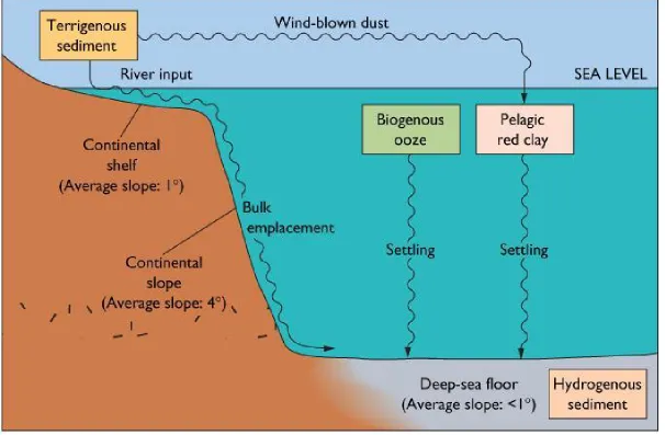 Figure 4-9a Sedimentation in the Deep Sea