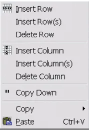 table.) If you are at the solution stage, the copying will be for the table that is active