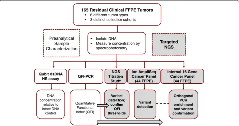 Figure 1 Study design. The study design coupled pre-analytical FFPE DNA characterization across three methods (spectrophotometry,fluorescence dye-based quantification, and QFI-PCR) with variant calling results from targeted NGS and confirmation assays to a