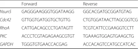 Table 1 Primers for quantitative real-time PCR