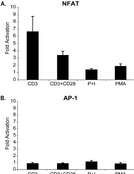 FIG. 4. p12Iwith antisense p12 (AS). Datum points are the means of triplicatewithout CD28 stimulation