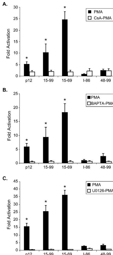 FIG. 8. Hyperactivated p12truncation mutants induce NFAT ac-transfected with plasmids containing different mutants in combinationwith pNFAT-Luc plasmid, and cells were treated with cyclosporine(A), BAPTA-AM (B), or U0126 (C) for 30 min before PMA was add-e