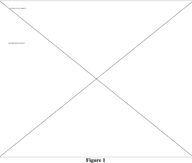 Figure 1  A View of FIVE 