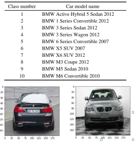 Figure 2. Image Samples in the Dataset.  