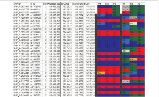 Figure 4. Excel output: Chromosome view of genotypes and ROSHs. Shown is the start of the 16-Mb-long ROSH found in chromosome2