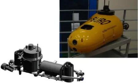 Figure 8: P-Suro AUV [27] 