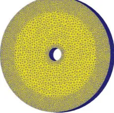 Figure 5. Meshes of the blank. 