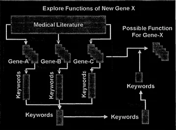 Figure 1: A hypothetical sequence of operations for the exploration of gene function within a biomedical text collection, where the functions of genes A, B, and C are known, and commonalities are sought to hypothesize the function of the unknown gene