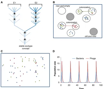 Fig. 3. The dynamics of cluster divergence. The figure summarizes some key results from (curves are derived using the model described in (Fig