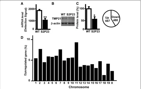 Fig. 1 Transcriptional profiling of S2P23 mouse hippocampus.SDS-PAGE and endogenous TMP21was detected by T21 antibody.The values represent mean ± SEM;genes and 480 downregulated genes.represent the percentage of differentially expressed genes on each chrom