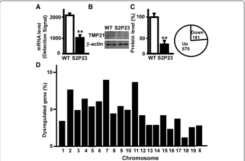 Fig. 2 Transcriptional profiling of S2P23 mouse cortex. a Amplified RNA from the cortex of wild type mice and S2P23 mice was used to performwhole genome expression assay