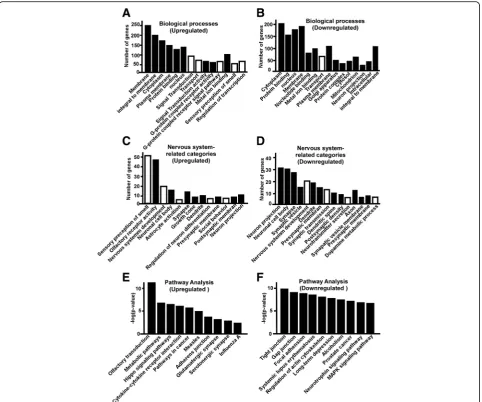 Fig. 3 Gene Ontology and pathway analysis of the dysregulated genes in the hippocampus of S2P23 mice.affected by upregulated genes are plotted,by upregulated genes are plotted, a Significantly affect GO categories(Black bar) and subcategories (White bar) o