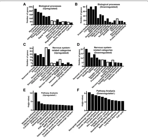Fig. 4 Gene Ontology and pathway analysis of the dysregulated genes in the cortex of S2P23 mice.e a Significantly affect GO categories (Blackbar) and subcategories (White bar) of biological process by upregulated genes are plotted, p < 0.05