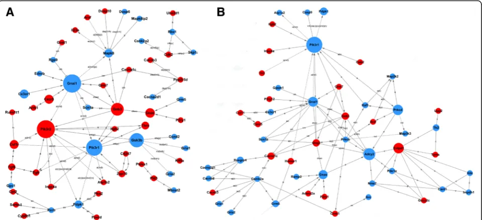 Fig. 5 Gene-gene interaction networks.and green colored genes represent up- and down-regulated genes, respectively