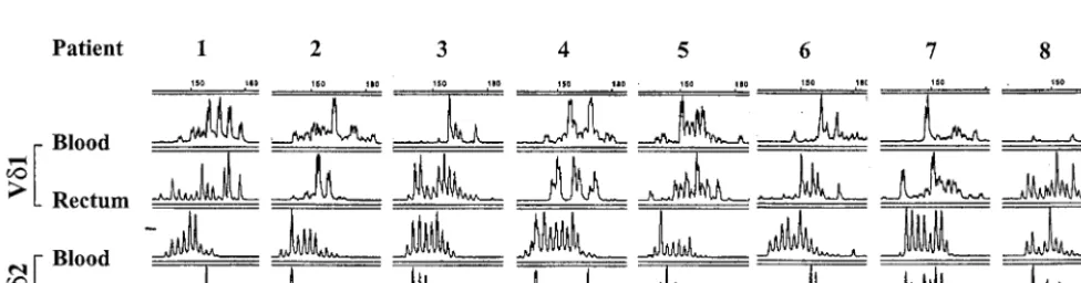 FIG. 4. Comparison of expression of mucosal homing receptors CCR9 and CD103 on blood ��HIV-1-seronegative and chronically infected subjects