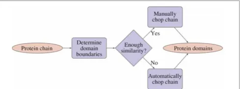 Figure 3. Procedure for chopping protein chains into domains.From the input, domain boundaries are predicted using variousalgorithms like ProteinDBS and CATHEDRAL