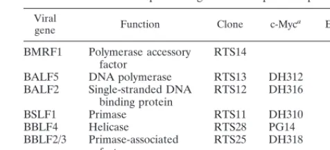 TABLE 1. EBV replication genes and expression plasmids