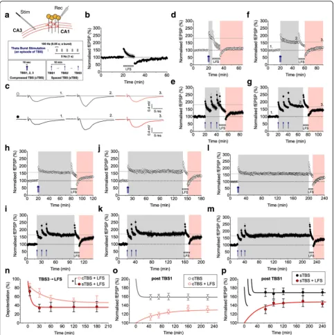 Fig. 1 Distinct depotentiation of LTP induced by compressed versus spaced theta burst stimulation (TBS).at Schaffer collateral-commissural CA1 synapses from adult rat hippocampus