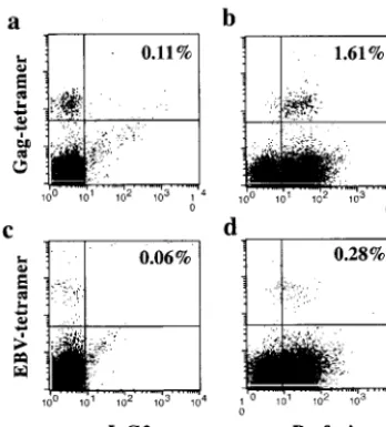FIG. 10. Perforin expression is induced by cross-presentation of DCs loaded with yeast VLPs
