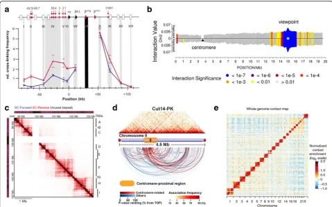 Fig. 2 Representative output of 3C, 4C, 5C, ChIA-PET and Hi-C analysis.that contact this site in space (one vs all)