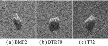 Figure 4. Three Types of SAR Targets. 