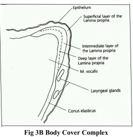 Fig 3B Body Cover Complex 