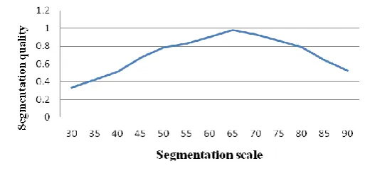 Figure 1. Different segmentation scale. 