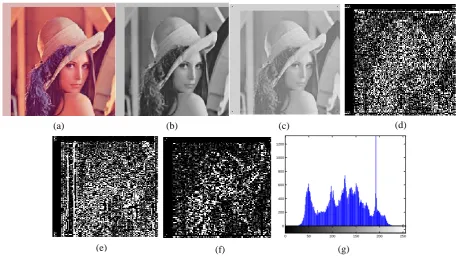 Fig.1(g).  of the original image are extracted as shown in Fig.1(d)~ (f); Finally, The histogram as shown in 图 像 近 似