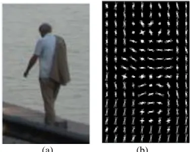 Figure 5. (a)The raw image (b) HOG feature visualization. 