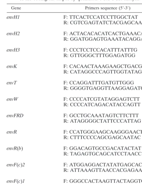 TABLE 1. Sequences of the primers used to detect the expressionof the coding envelopes by quantitative RT-PCR analysis