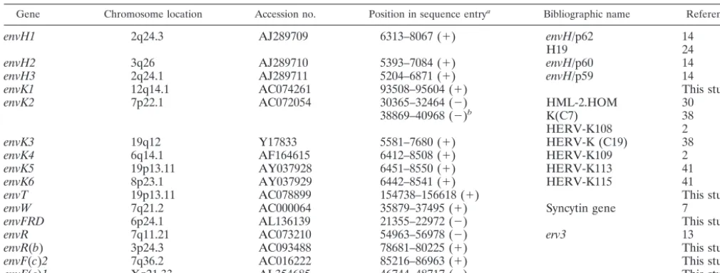 TABLE 3. The 16 coding envelope genes of the human genome