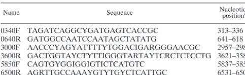 TABLE 2. Oligonucleotides used in this work