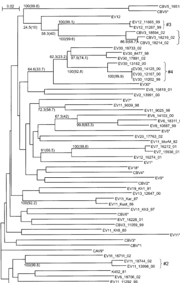FIG. 5. Phylogenetic tree for the 2A region (nt 3344 to 3552). See the legend to Fig. 2 for details.