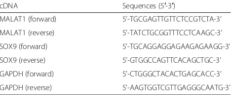 Table 1 The sequences of primers