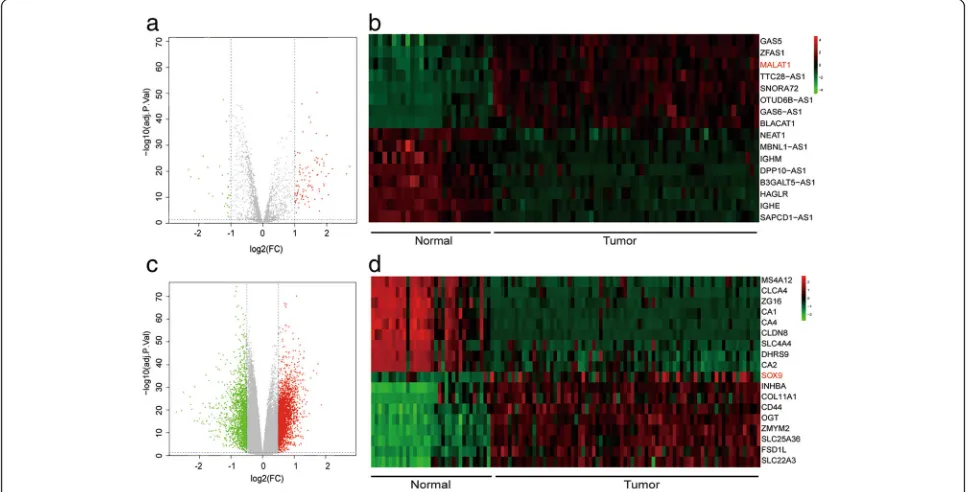 Fig. 1 Microarray analysis and verification a Volcano plot of lncRNAs. b Heat map of lncRNAs