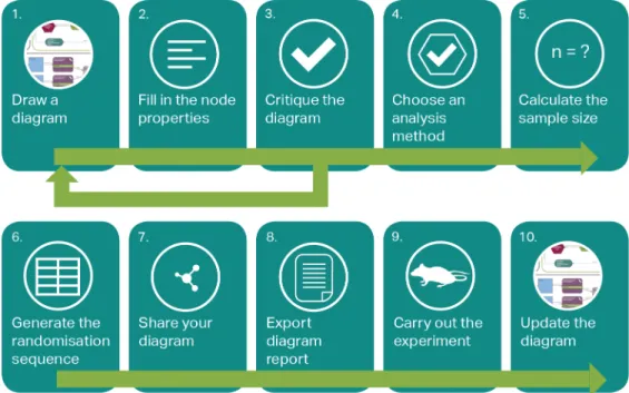 Fig 1. The Experimental Design Assistant (EDA) workflow. The workflow is not fixed and different users might prefer to do some steps in a different order