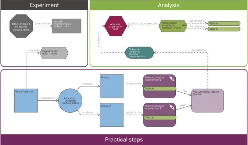 Fig 2. Example of an Experimental Design Assistant (EDA) diagram. EDA diagrams are composed of nodes and links to represent an entire experimental plan
