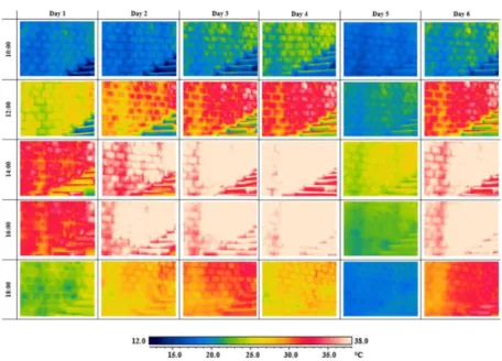 Fig. 6. Thermal images: wall facing southeast. 