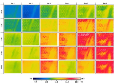 Fig. 7. Thermal images: wall facing northeast. 