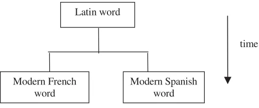 Figure 3.1 Schematic diagram for the example on historical linguistics.