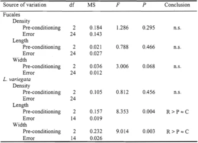 Table 2.1 One way ANOVAs for effects of substrate pre-conditioning on the density and sizes of early stages of two brown macroalgae: Fucales spp