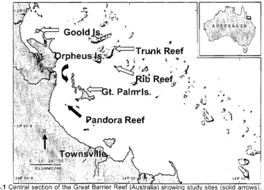 Fig. 3.1 148" 00 Central section of the Great Barrier Reef (Australia) showing study sites (solid arrows) 