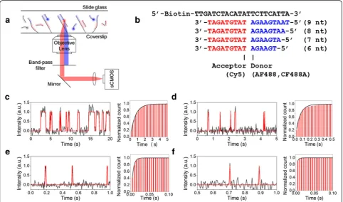 Fig. 1 | Accelerated dissociation of donor strands. (states, respectively. Right panels show histograms of dissociation times