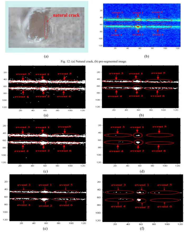 Fig. 12: (a) Natural crack, (b) pre-segmented image.