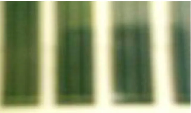 Fig. 1 – Input image 1 