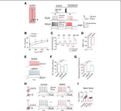 Fig. 3 Bath applications of DHPG stimulates mGluR5 to increase hippocampal CA1 neuron excitability.Soma,injections in each condition (DHPG, a Left, a schematic drawing ofexperimental condition demonstrates a neuron being recorded with bath applications of 