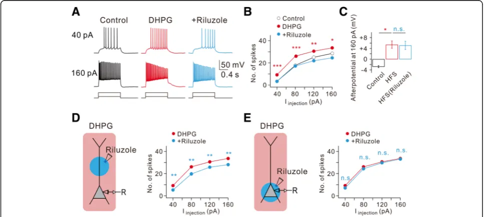 Fig. 4 DHPG-induced increase of intrinsic excitability requires dendritic persistent Na**pulse injections